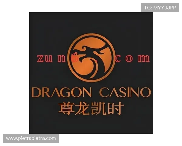 尊龙凯时官网入口：PC端登录尊龙凯时的详细操作流程