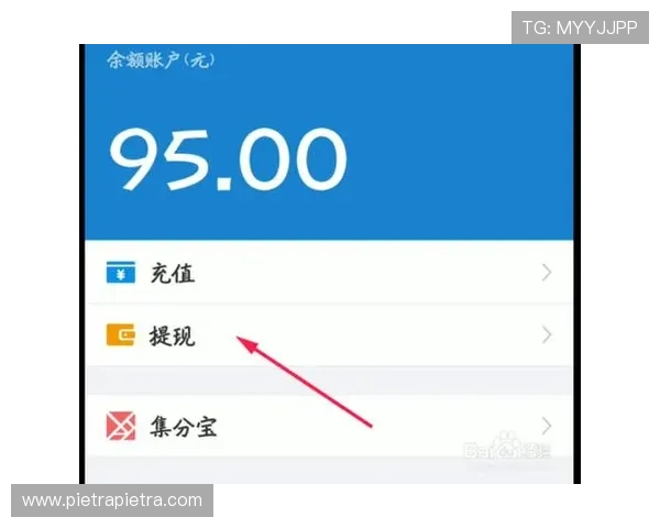 天王线上娱乐城便捷充值提现，快速到账体验更佳