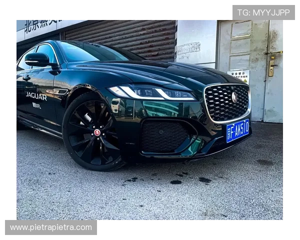 捷豹在线娱乐：体验极致豪华的线上娱乐盛宴，尽享尊贵非凡的娱乐体验