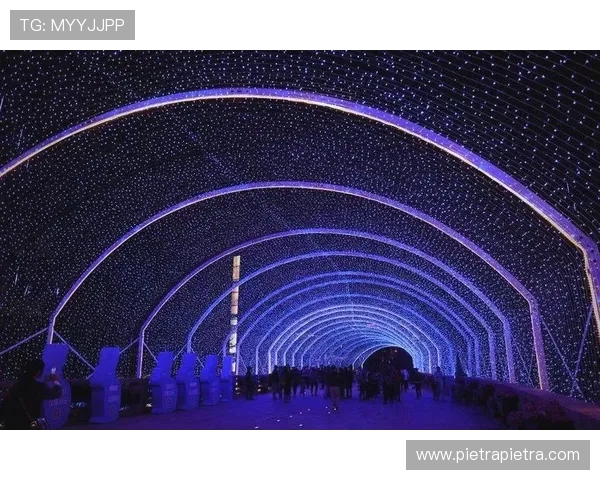 海岸国际娱乐城：探索多样化娱乐项目与尊贵客户服务的完美结合